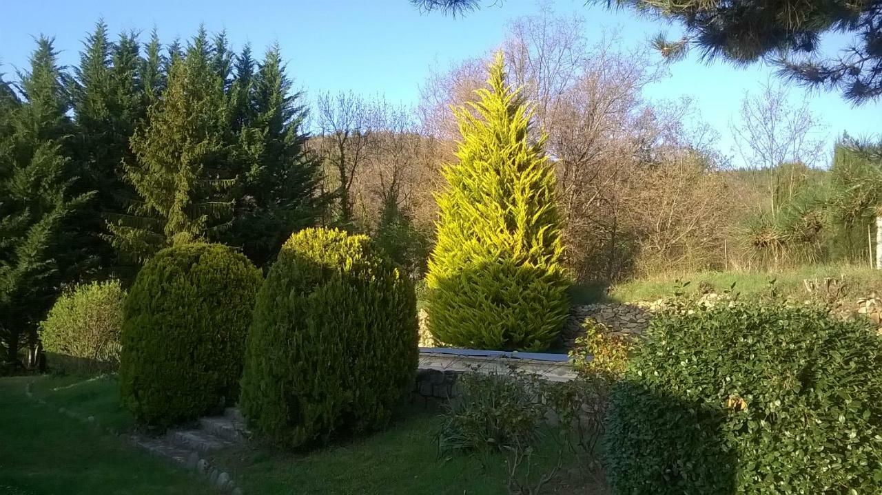 Canigou Lodge 弗耐特·莱班斯 外观 照片