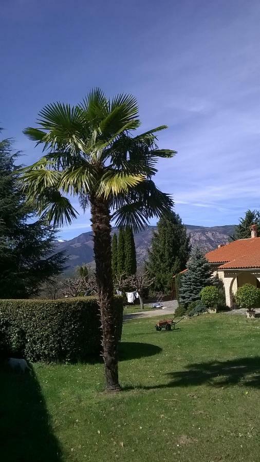 Canigou Lodge 弗耐特·莱班斯 外观 照片