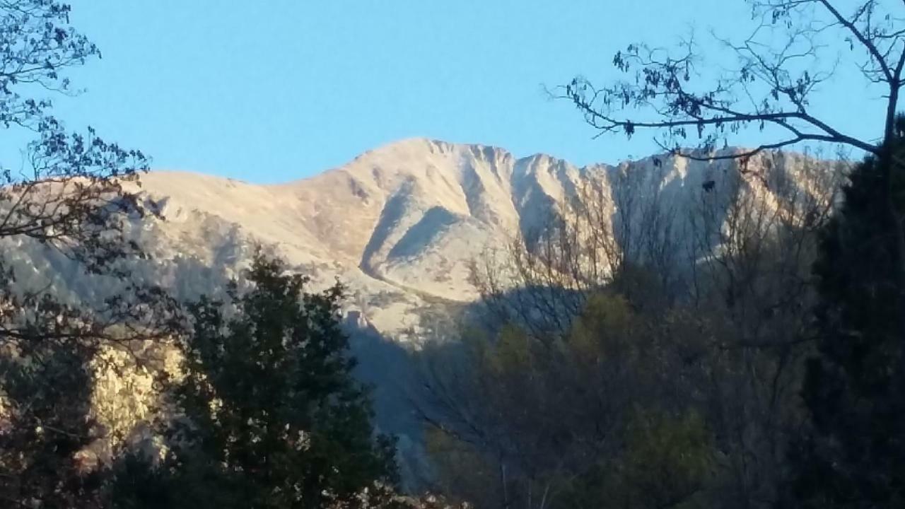 Canigou Lodge 弗耐特·莱班斯 外观 照片